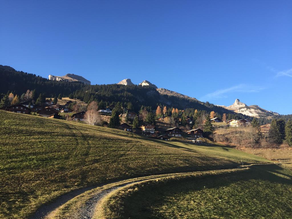 La Petite Silene Apartment Leysin Room photo