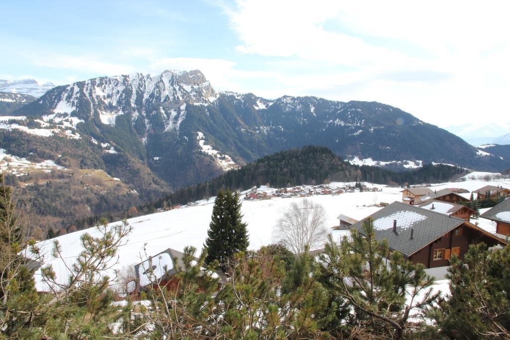 La Petite Silene Apartment Leysin Exterior photo